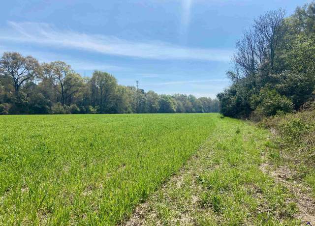 Property at 0 Moseley Rd, Byron, GA 31008
