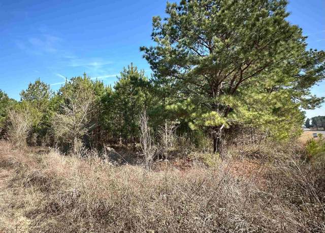 Property at 0 MT Pleasant Church Rd, Pineview, GA 31071