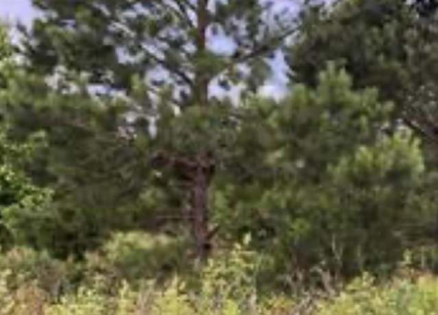 Property at V/L Sandy Ln, Hawkinsville, GA 31036