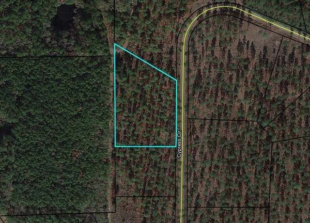 Property at 4 NW Cypress Cir, Hawkinsville, GA 31036