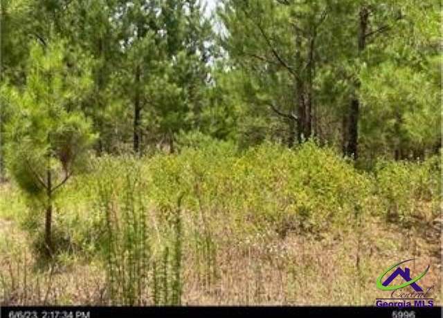 Property at Margaret Ln, Hawkinsville, GA 31036