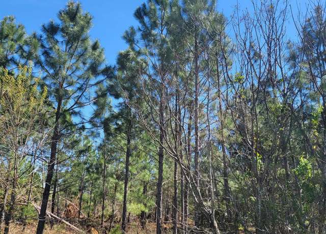 Property at 0 Benny Sharp Rd, Hawkinsville, GA 31036