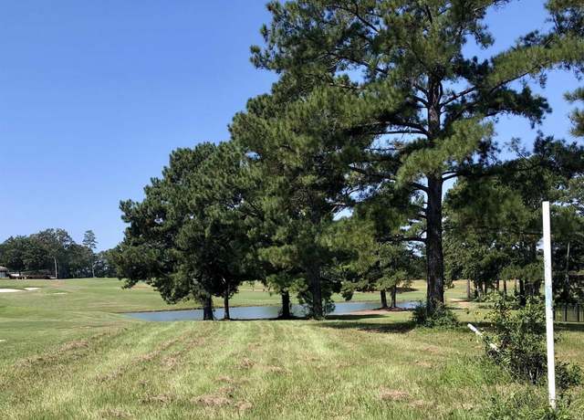 Property at 65 G River Ridge Dr, Hawkinsville, GA 31036
