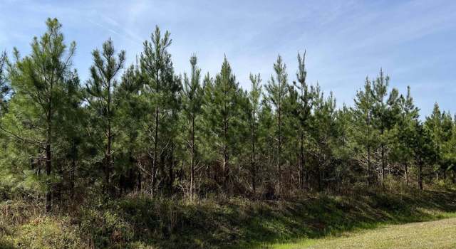 Photo of Lot 9 Whitfield Rd, Elko, GA 31025