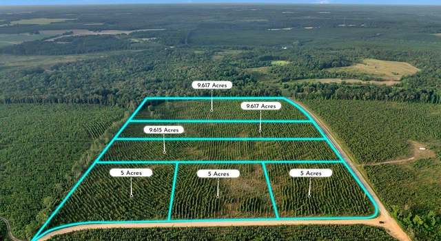 Photo of Parcel 11 Doc Crook Rd, Reynolds, GA 31076
