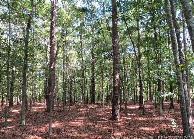 Property at 0 Rocky Fork Church Rd, Sanford, NC 27332