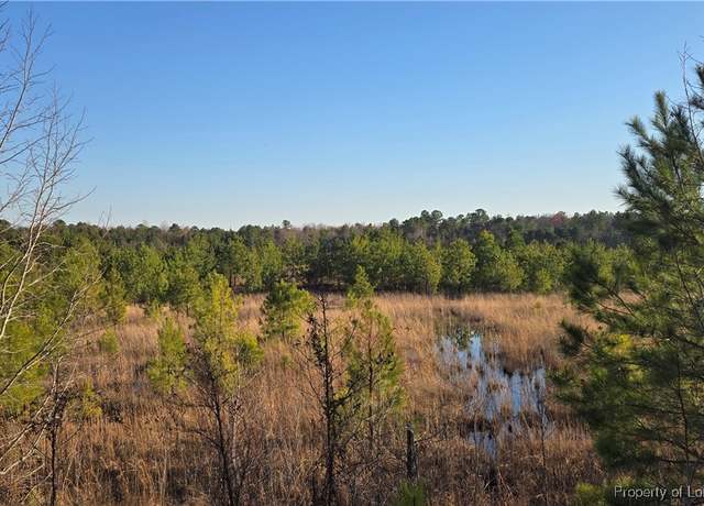 Property at 03 Josey Williams Rd, Erwin, NC 28339