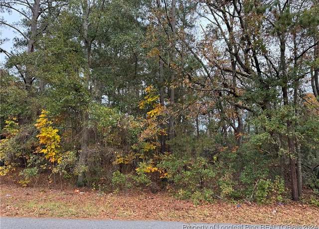 Property at E Donaldson St, Raeford, NC 28376