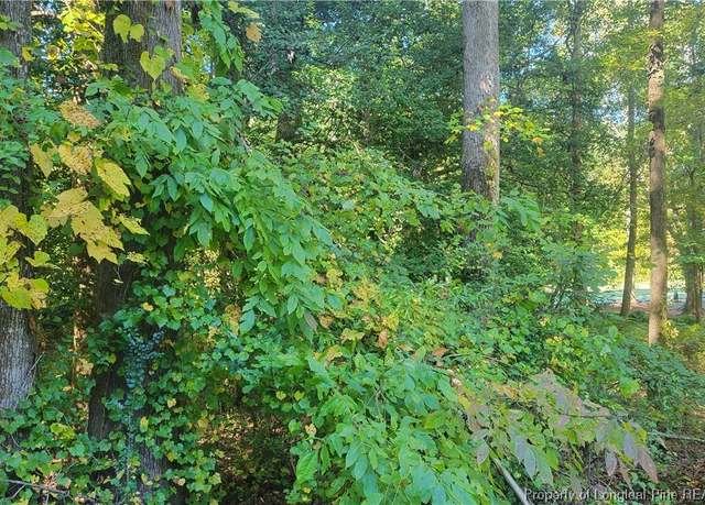 Property at 636 Angus Ct, Sanford, NC 27332