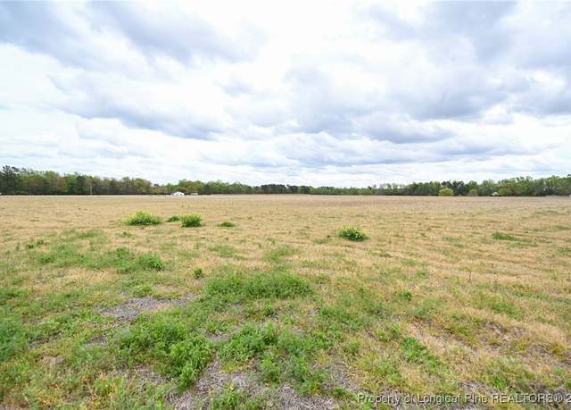 Property at 95 Mamie Rd, Benson, NC 27504
