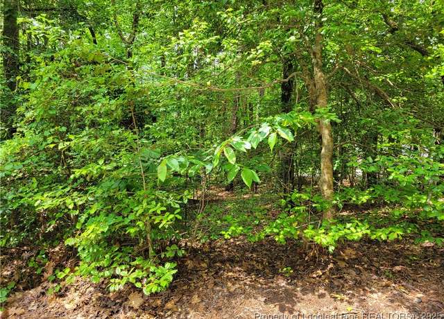 Property at 519 Perth Dr, Sanford, NC 27332