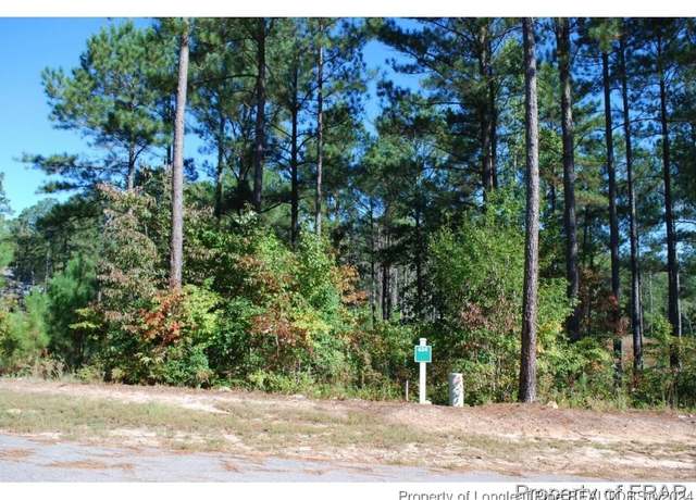 Property at 132 Broadlake (634) Ln, Spring Lake, NC 28390