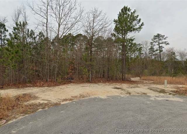 Property at 85 Pedley Pl, Cameron, NC 28326