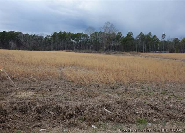 Property at Tract 3 Odum Rd, Lumberton, NC 28358