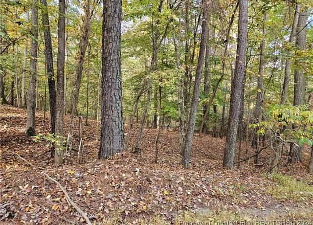 Property at 0 Sandy Creek Church Rd, Sanford, NC 27330