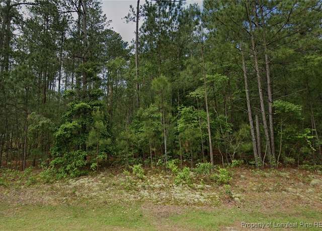 Property at 35 Peach Orchard Rd, Wagram, NC 28396