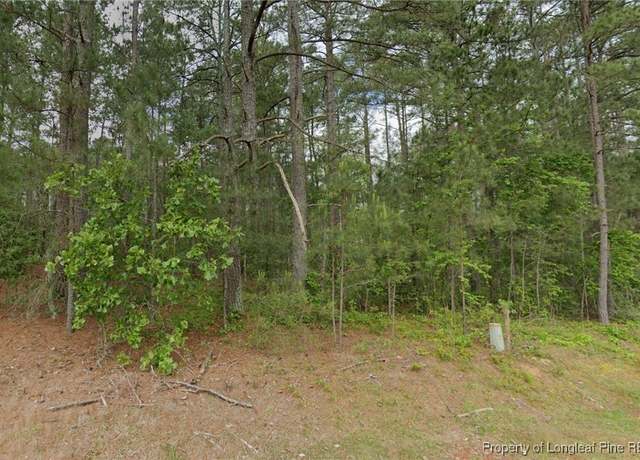 Property at 37 Peach Orchard Rd, Wagram, NC 28396