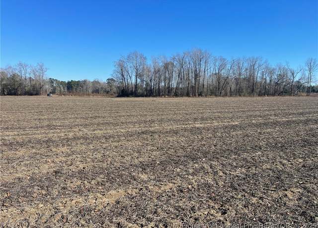 Property at 0 Lesane Rd, Tar Heel, NC 28392