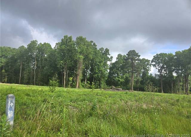 Property at Blue Springs Rd, Red Springs, NC 28377
