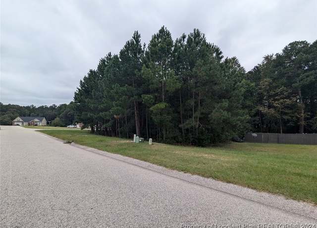 Property at TBD 282 Falling Leaf Dr, Raeford, NC 28376