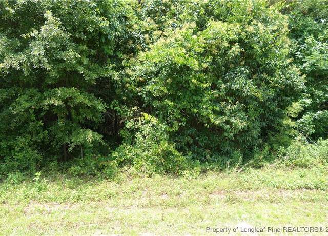 Property at NC 41 Hwy, Fairmont, NC 28340