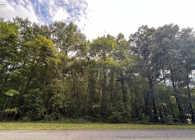 Property at TBD Lot 8 Forestwood Park Rd, Sanford, NC 27330