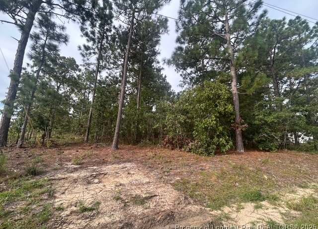 Property at 1218 & 1233 Loop Rd, Raeford, NC 28376