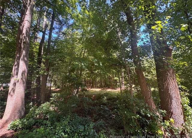 Property at 0 Center Church Rd, Sanford, NC 27330