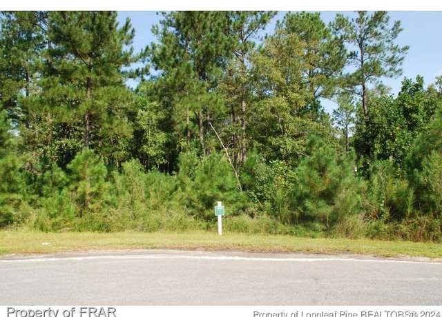 Property at 222 Broadlake (639) Ln, Spring Lake, NC 28390