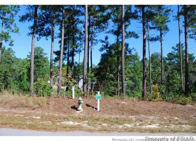 Property at 162 Broadlake (636) Ln, Spring Lake, NC 28390