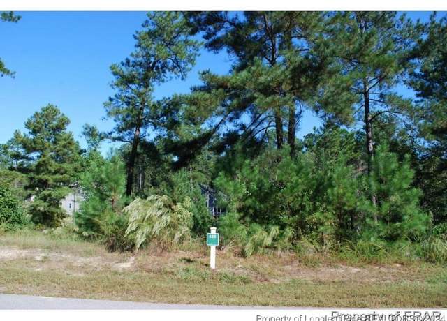 Property at 152 Broadlake (635) Ln, Spring Lake, NC 28390