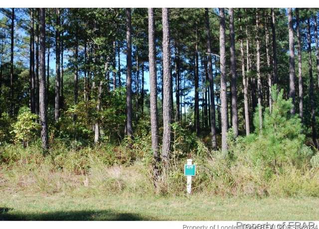 Property at 45 Broadlake (479) Ln, Spring Lake, NC 28390