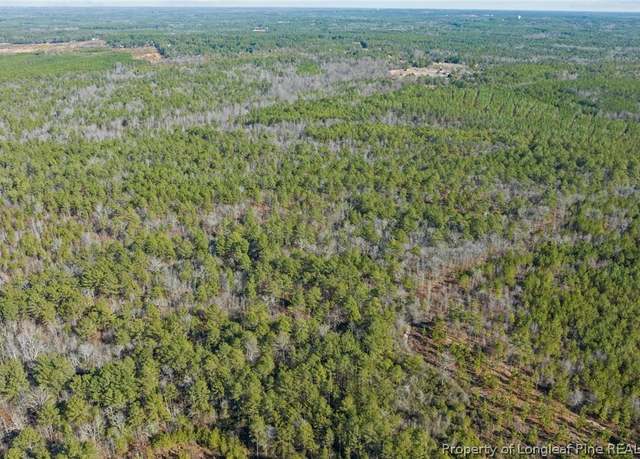 Property at Mckoy Town Off Road Lot 11b, Cameron, NC 27330
