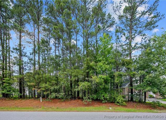 Property at 255 Barons Run (lot 436) W, Spring Lake, NC 28390
