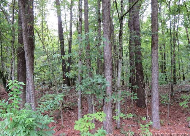 Property at 0 Lick Creek Rd, Sanford, NC 27330