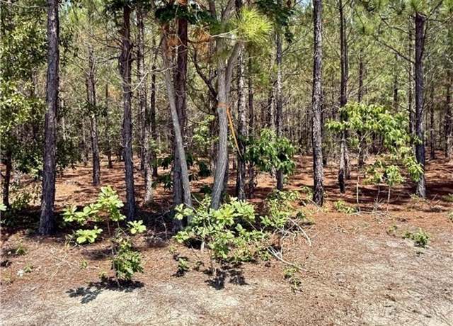 Property at TBD 2 North Turnpike Rd, Wagram, NC 28396