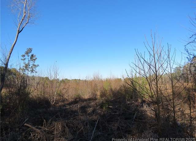 Property at 0 Melvin Ln, Sanford, NC 27330