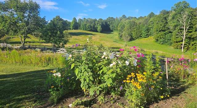 Photo of 1115 Elk Wallow, Bakersville, NC 28705