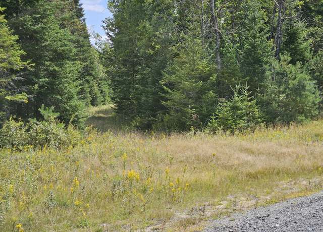 Property at Lot 17 Daugneau Trl, Merrillsville, NY 12989