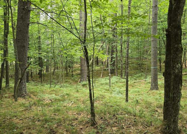 Property at 38 Algonquin Trl, Jay, NY 12941