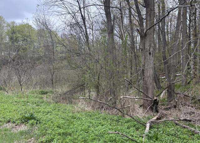 Property at 0 Ram Rd, Schuyler Falls, NY 12962
