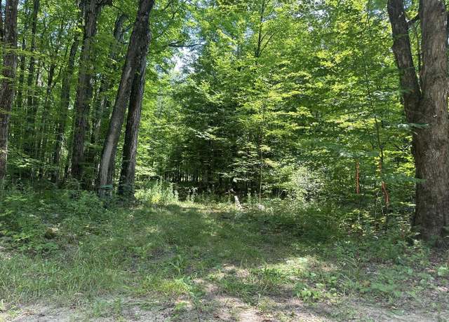 Property at 0 Drown, Mooers, NY 12958