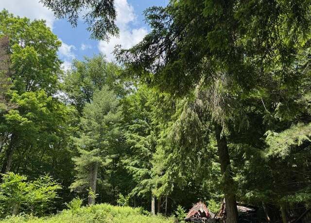 Property at 00 Cold Spring Rd, Old Forge, NY 13420