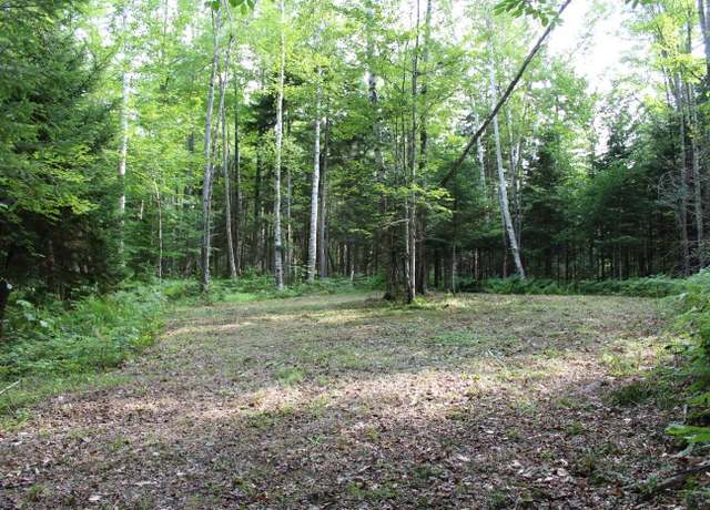 Property at 5925-B State Route 30, Indian Lake, NY 12842