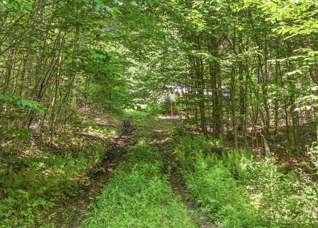 Property at 359 Bear Cub Ln, Lake Placid, NY 12946