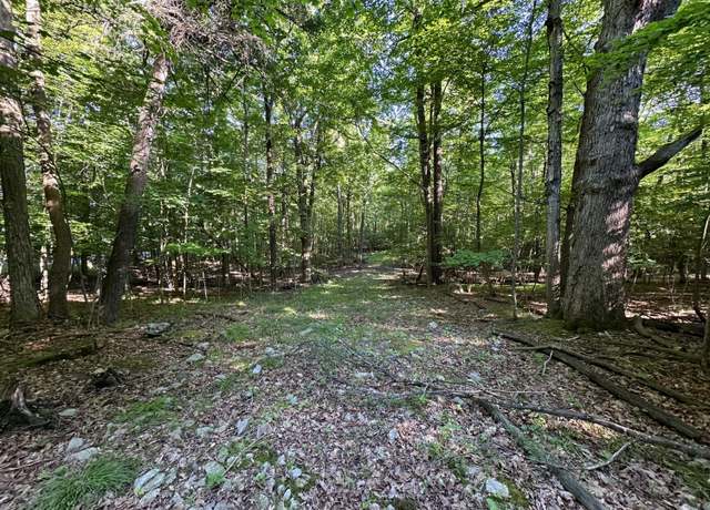 Property at 0 Trembleau Rd, Keeseville, NY 12944