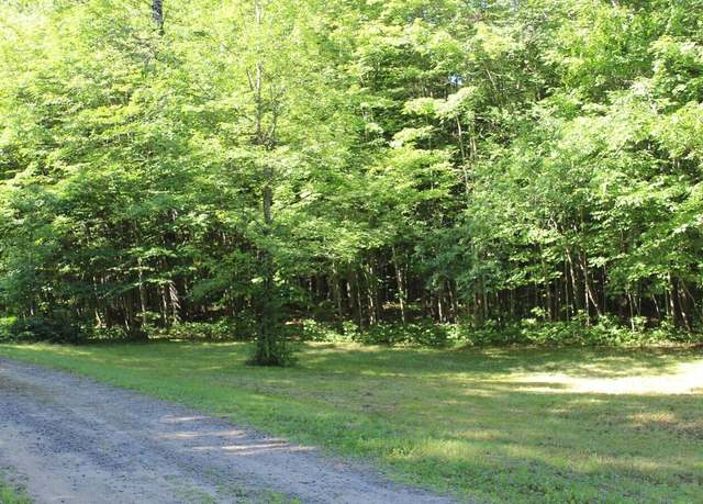 Property at 0 Squaw Brk, Indian Lake, NY 12842