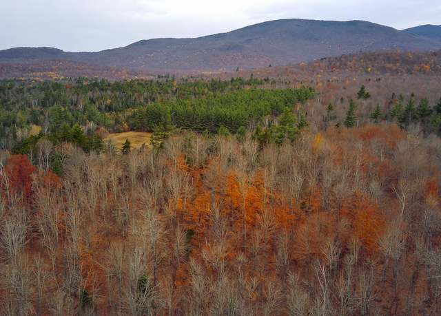 Property at 0 True Brook Rd, Saranac, NY 12981