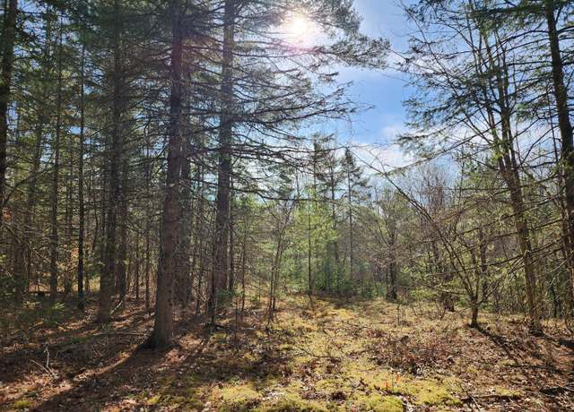 Property at 151 Church Ln, Au Sable Forks, NY 12912