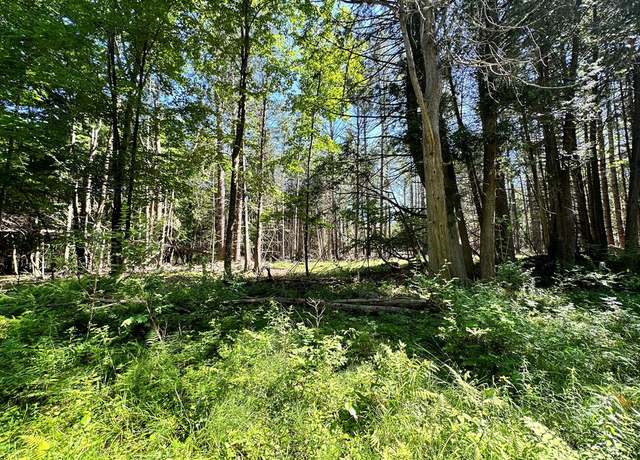 Property at 0 Mellow Way (lot #5), Wilmington, NY 12997